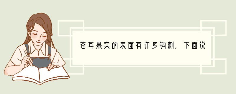 苍耳果实的表面有许多钩刺，下面说法正确的是（　　）A．可以钩挂在动物的毛皮上，有利于